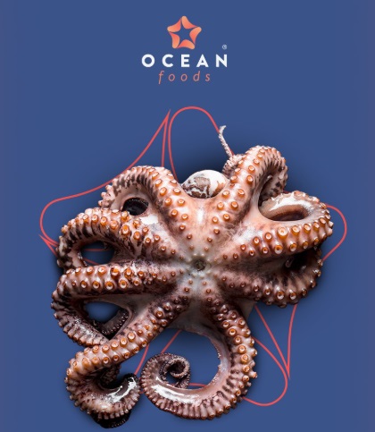 Relatório de Demonstrações Financeiras – Ocean Foods S.A.
